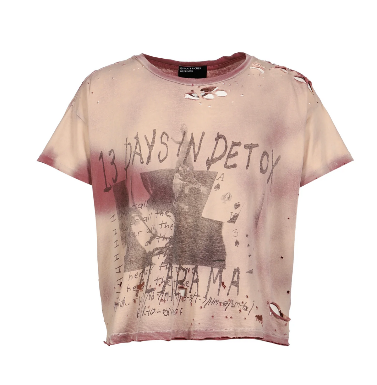 ERD 13 DAYS IN DETOX T-SHIRT